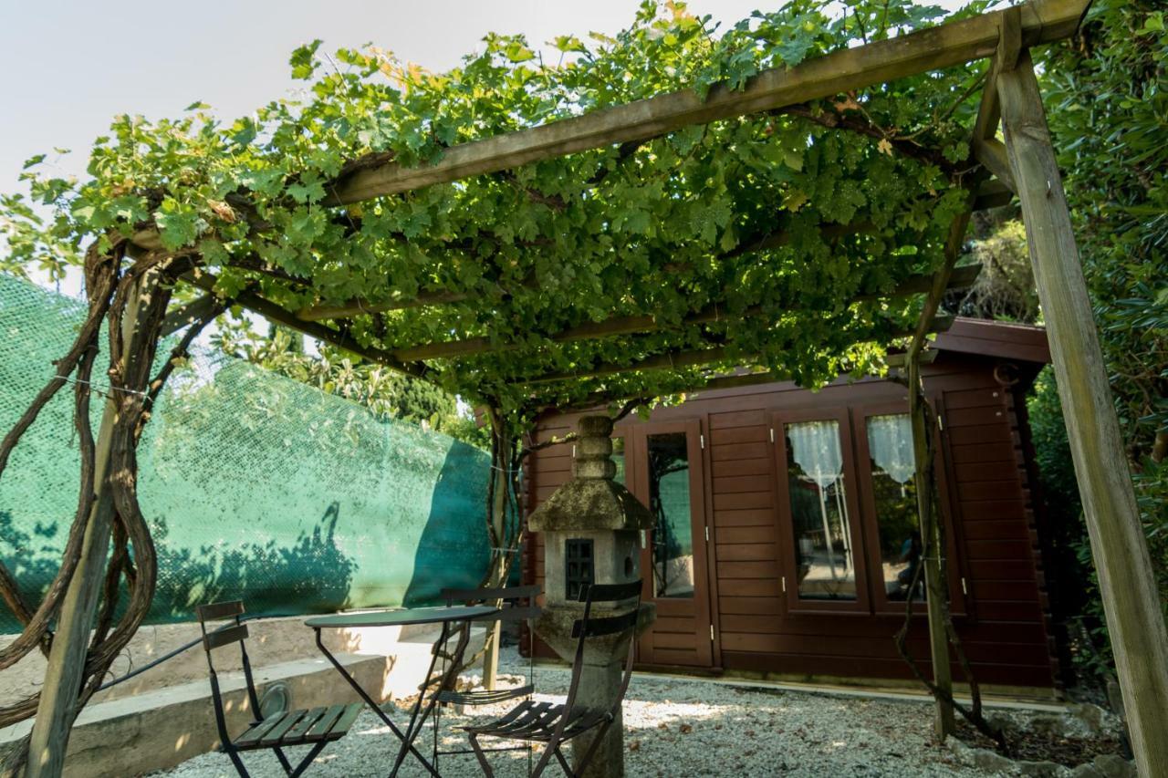 Villa Carpe Diem La Roquette-sur-Siagne Zewnętrze zdjęcie